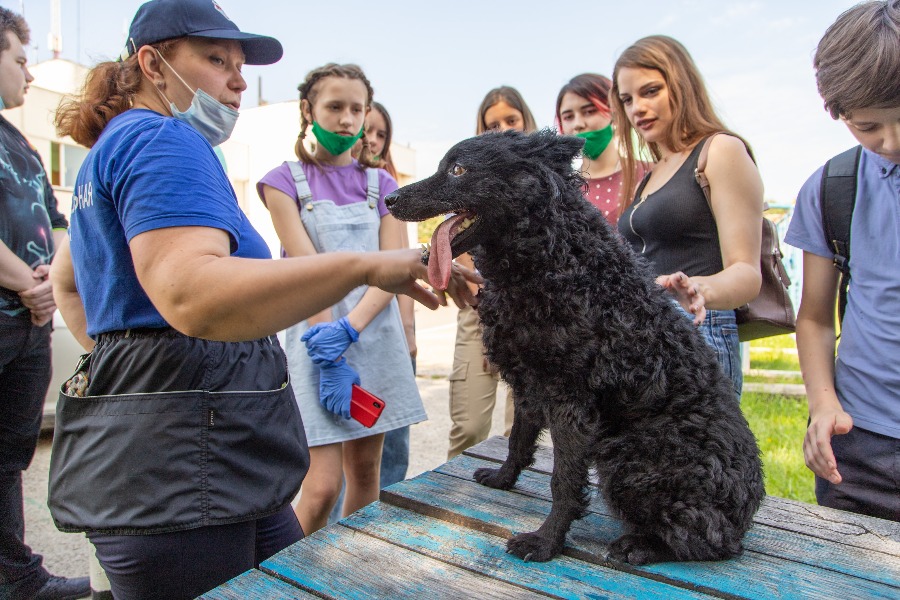 Специалист 3-го класса аварийно-спасательного отряда № 6 Виктория Васильева (слева) рассказывает участницам проекта «PROГероев» о том, как собаки помогают на службе