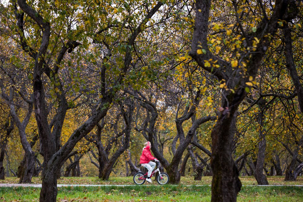 Синоптики рассказали о погоде в Москве 12 сентября