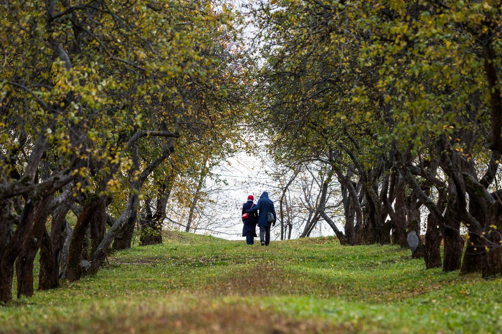 Психолог Гладышева объяснила, почему женщины хотят жить дольше мужчин 