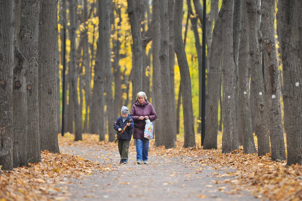 Россиян предупредили об аномальном похолодании на следующей неделе