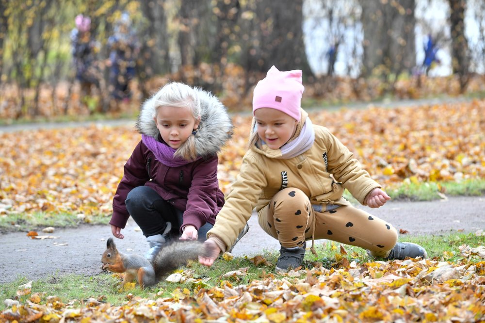 Синоптик предупредил москвичей о резком похолодании на следующей неделе