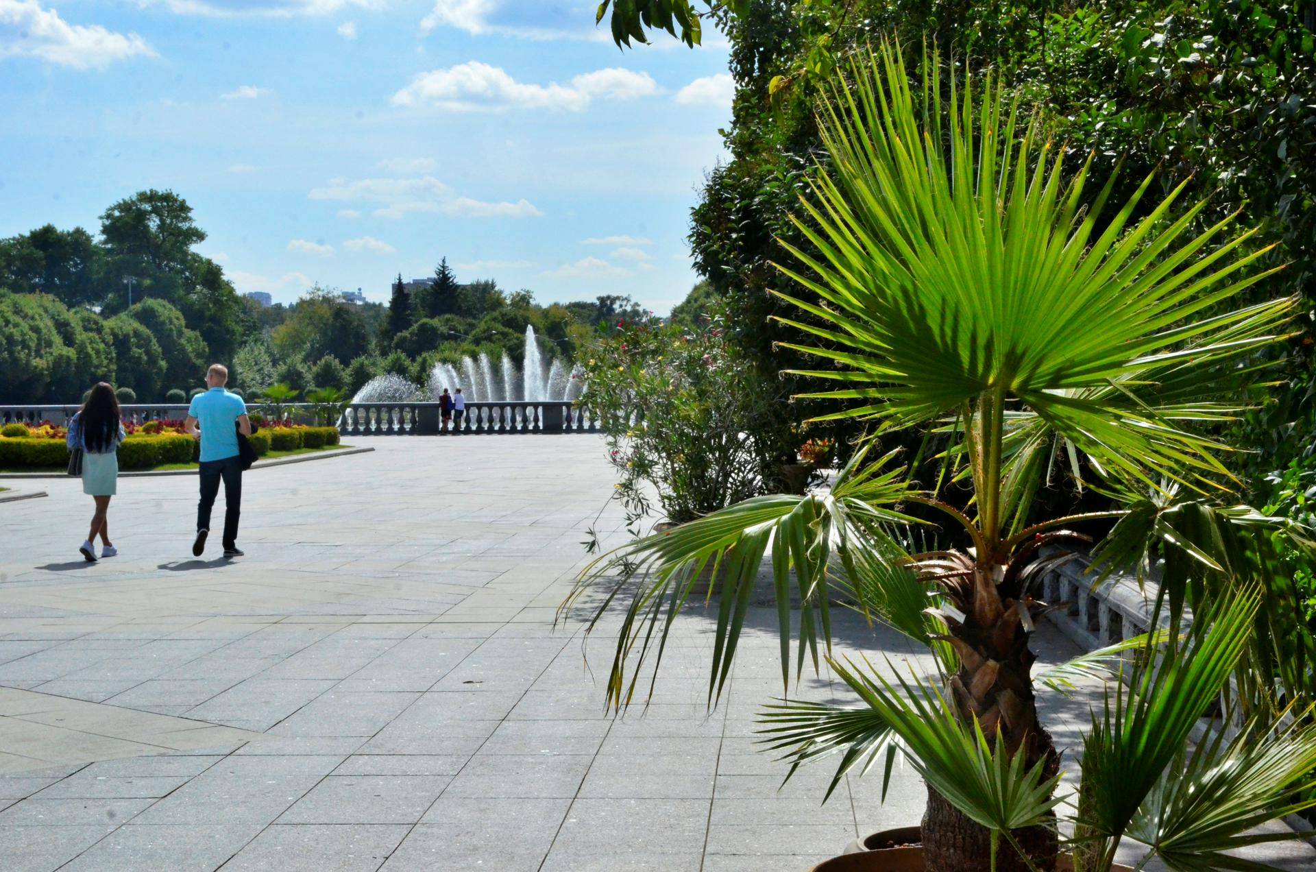Синоптики назвали самый теплый день в Москве на предстоящей неделе