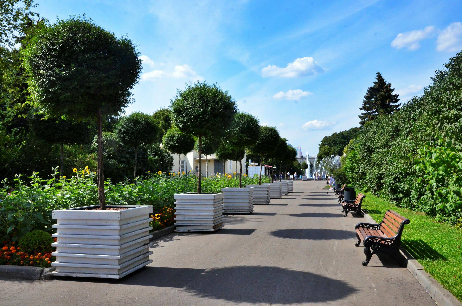 Парк Горького