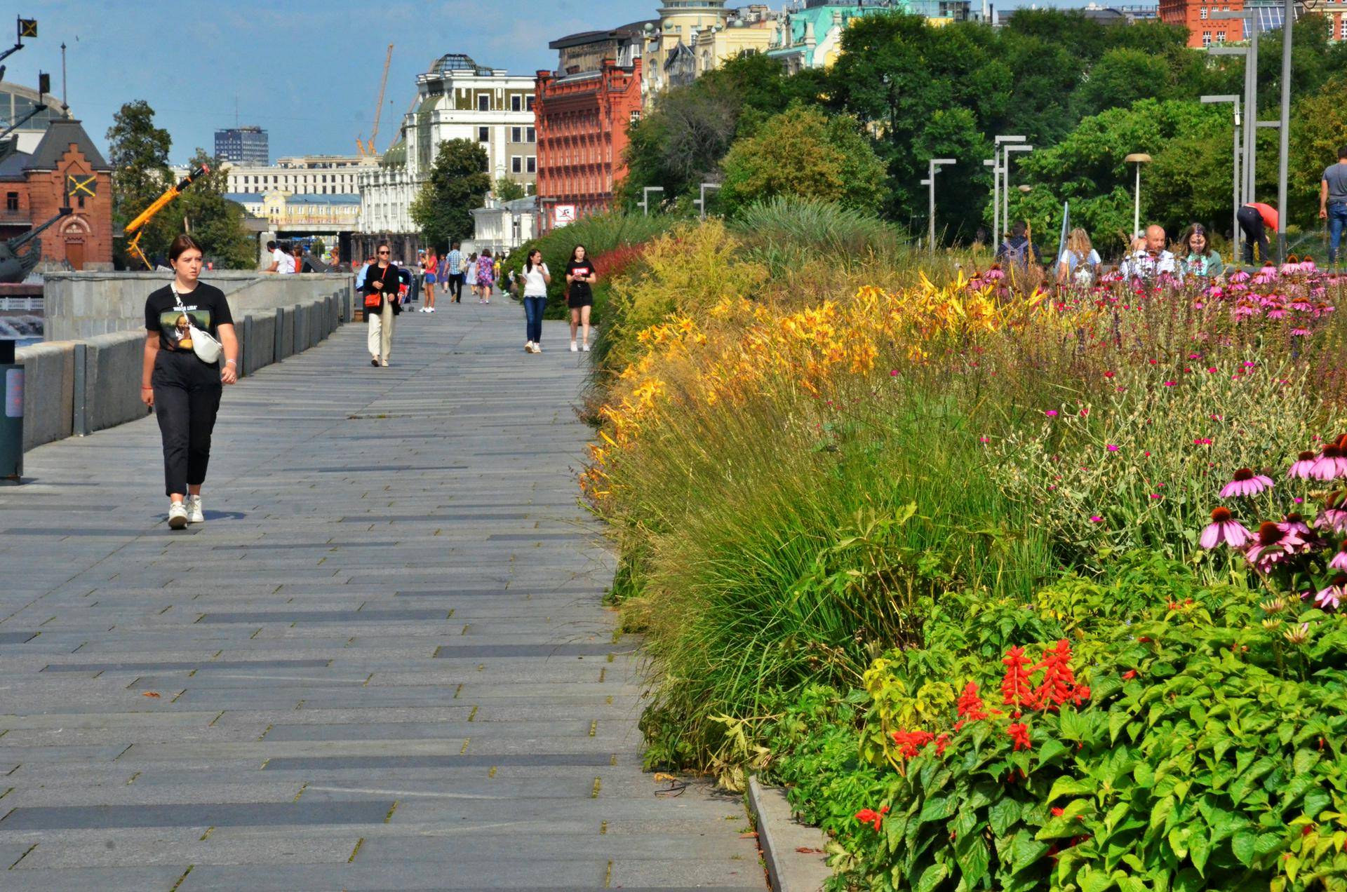 Еще 1434 человека вылечились от коронавируса в Москве за сутки