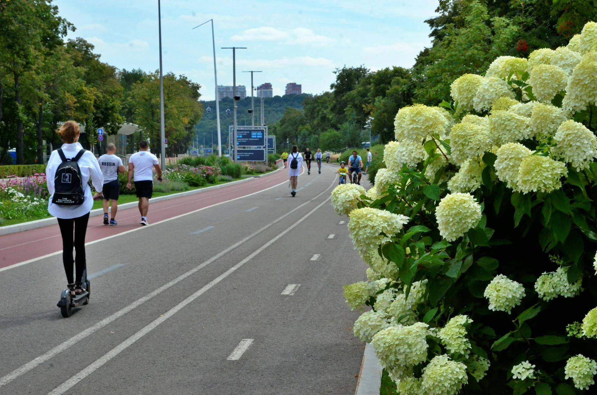 Крупнейшие парки столицы соединят велодорожками за три года
