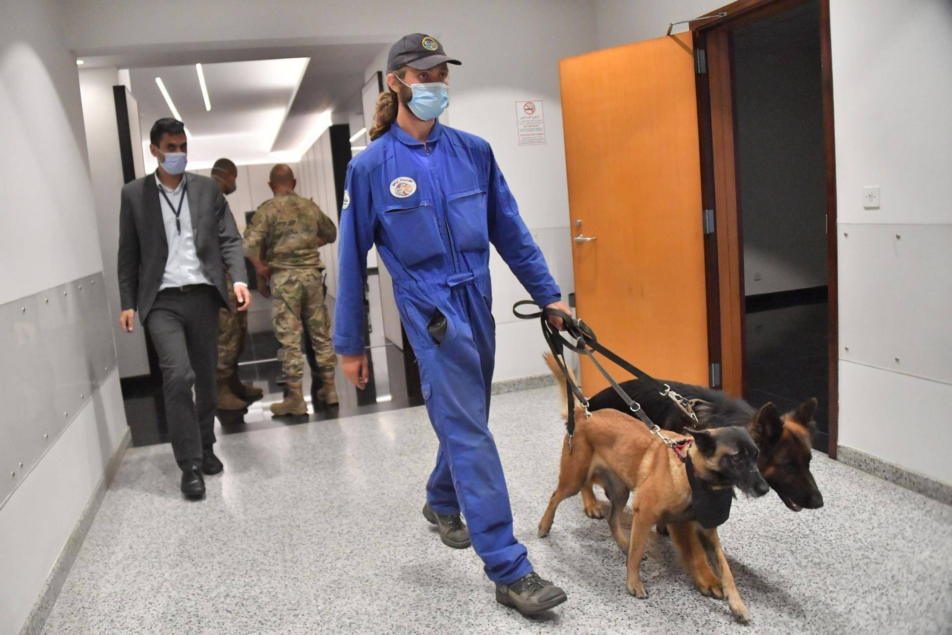 Российские кинологи с собаками начали работать в Бейруте