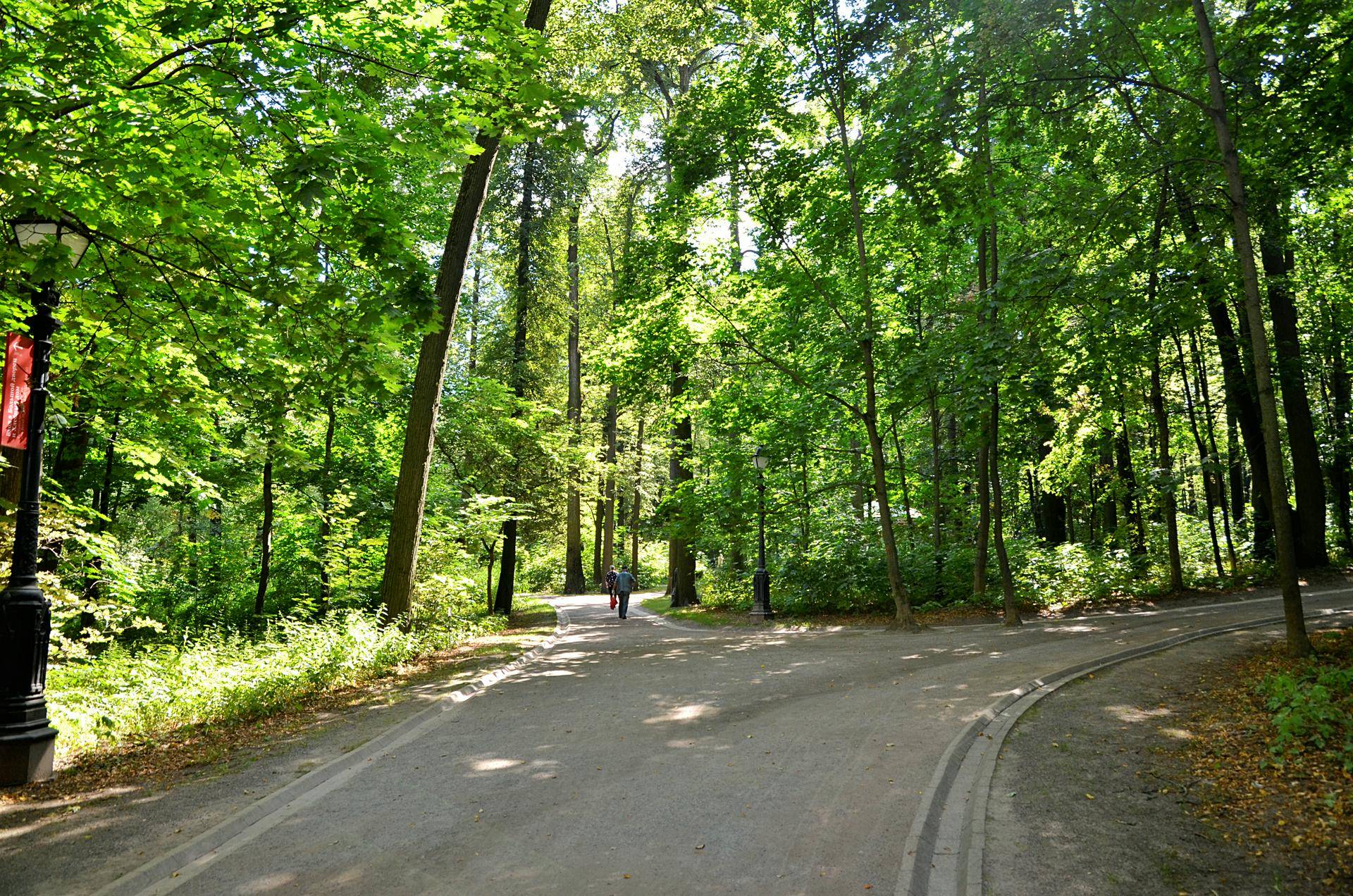 Конкурс на соискание звания лауреата международной экологической премии «ЭкоМир-2022» продлится до 31 октября