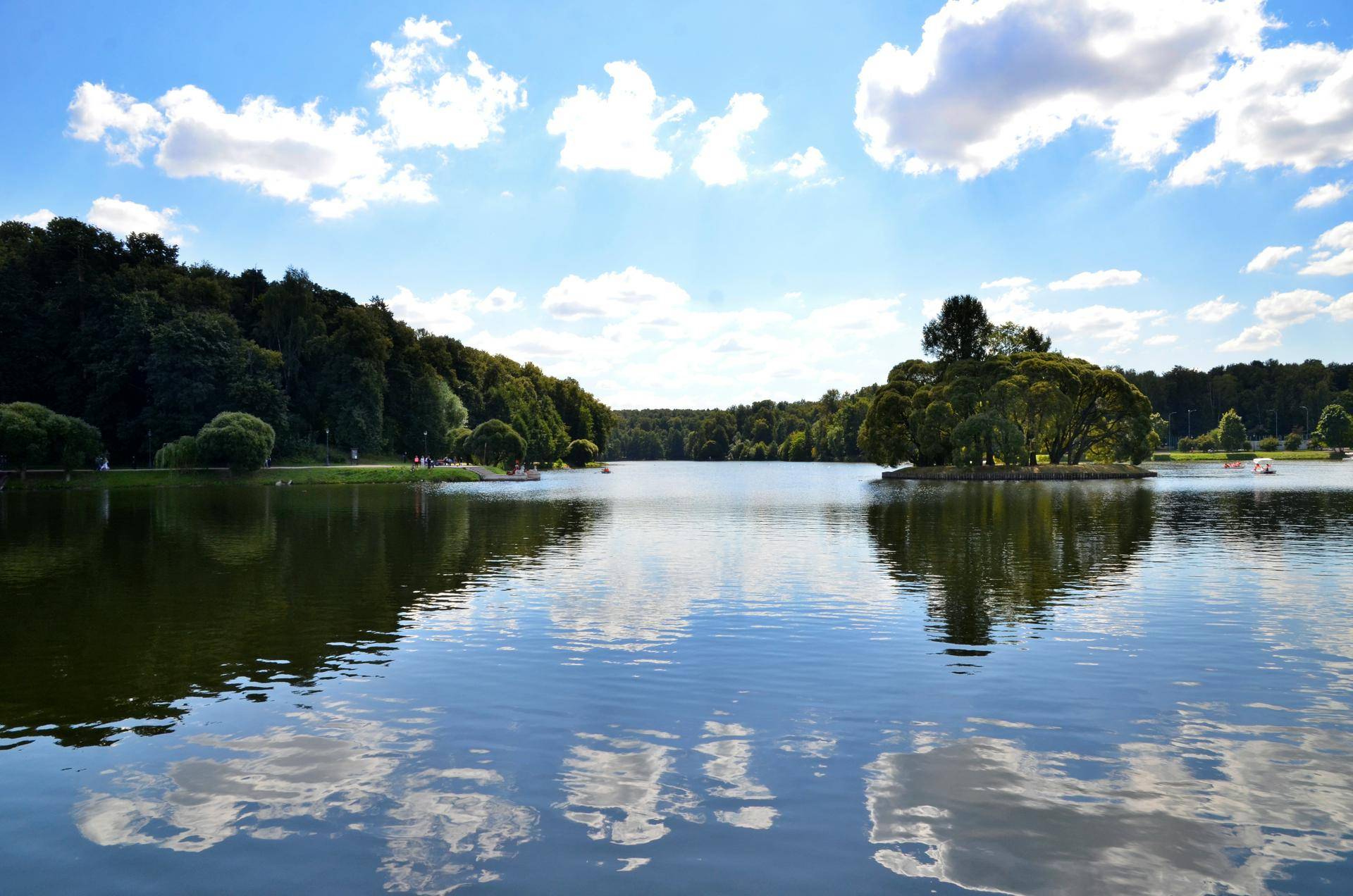 Квесты и интеллектуальные игры: Мосприрода пригласила на бесплатные занятия