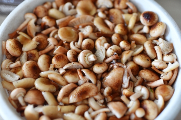 Кремлевский повар раскрыл секрет запеканки из опят для Брежнева