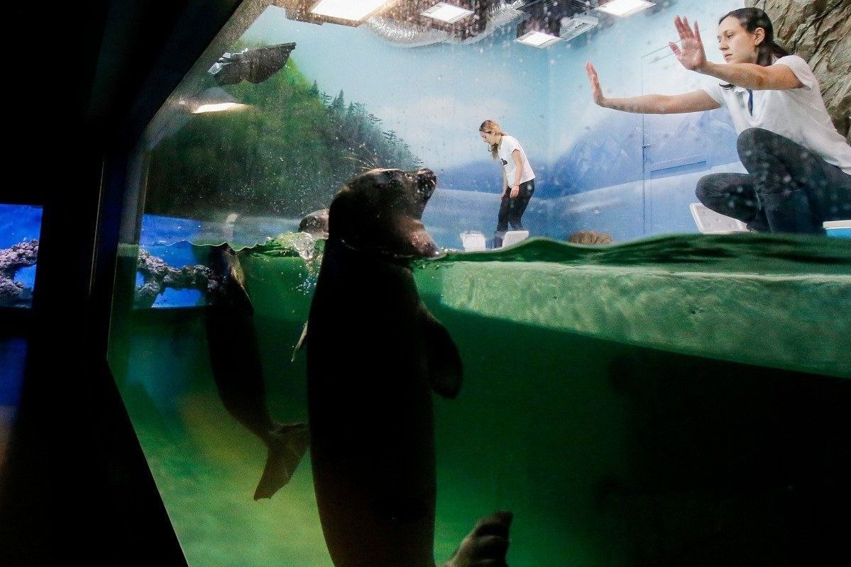 Москвичей пригласили на ВДНХ отметить День Байкала