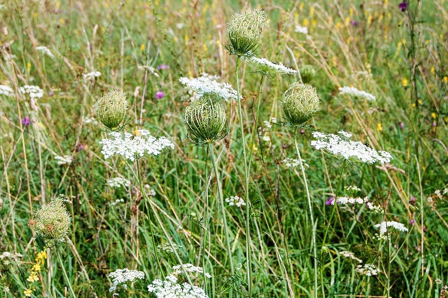 Определена минимальная плата за посещение заповедников и нацпарков