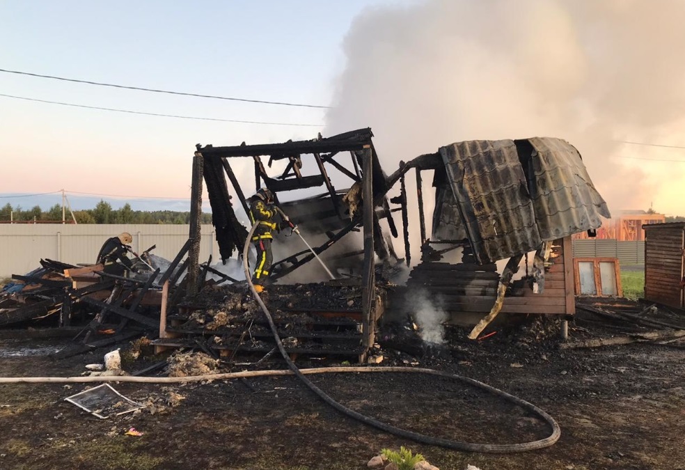 Мужчина и ребенок погибли при пожаре в подмосковном Солнечногорске