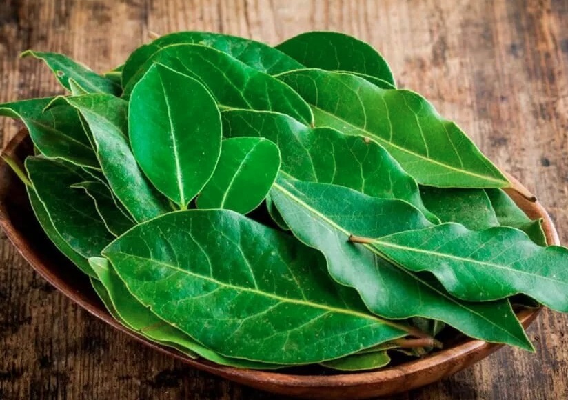 Шеф-повар рассказал, как правильно использовать лавровый лист