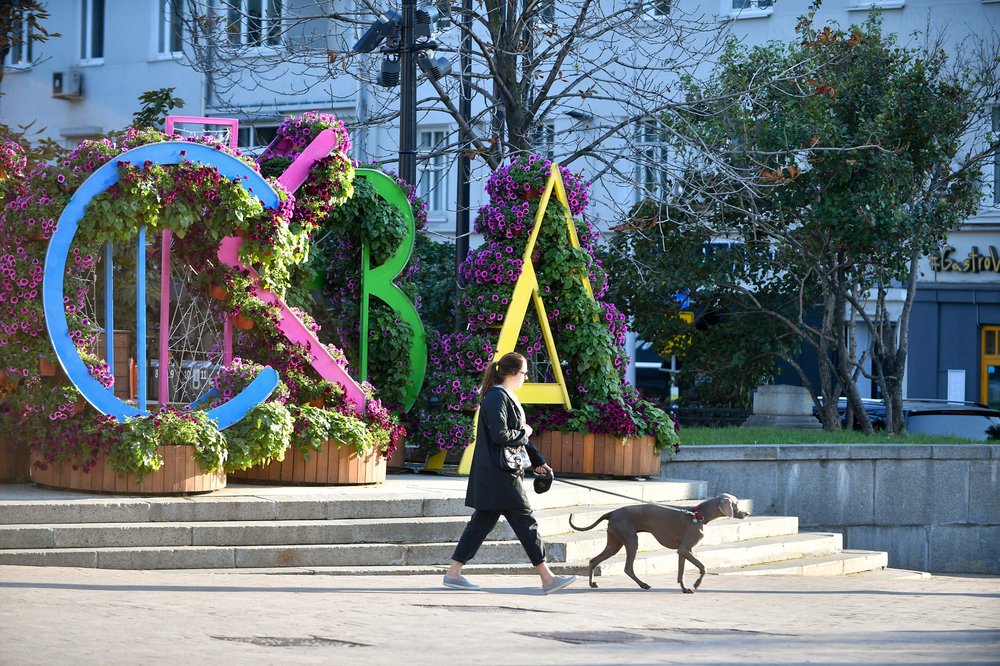 Синоптики рассказали, когда погода в Москве начнет улучшаться