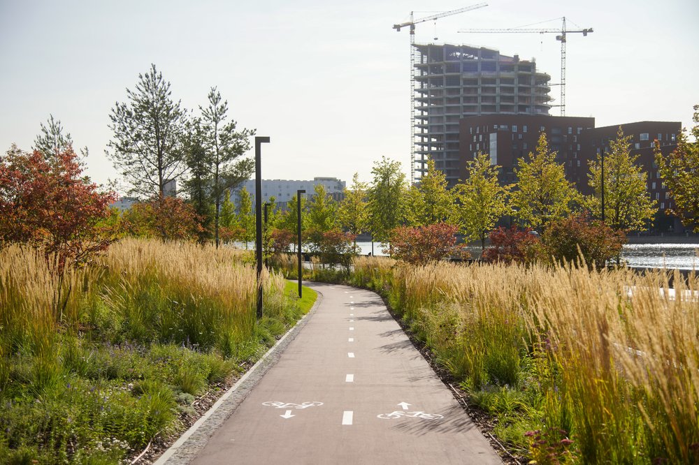 Велосипедист сбил пешехода на юге Москвы