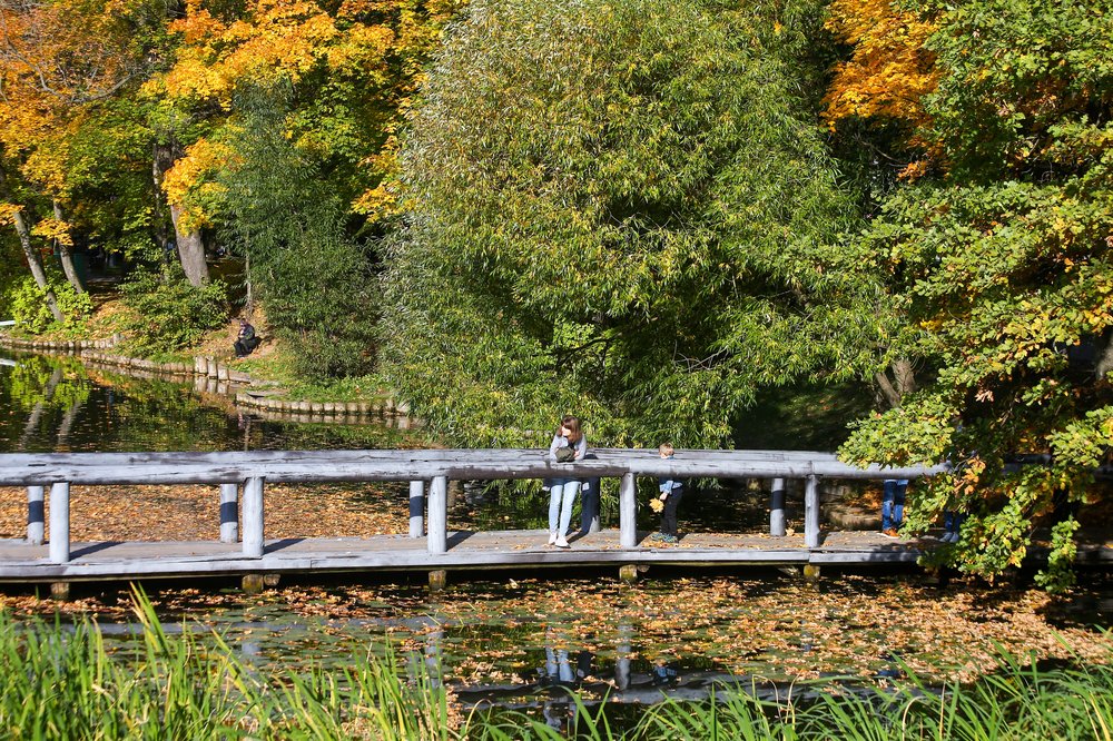 «Желтый» уровень погодной опасности продлили в Подмосковье