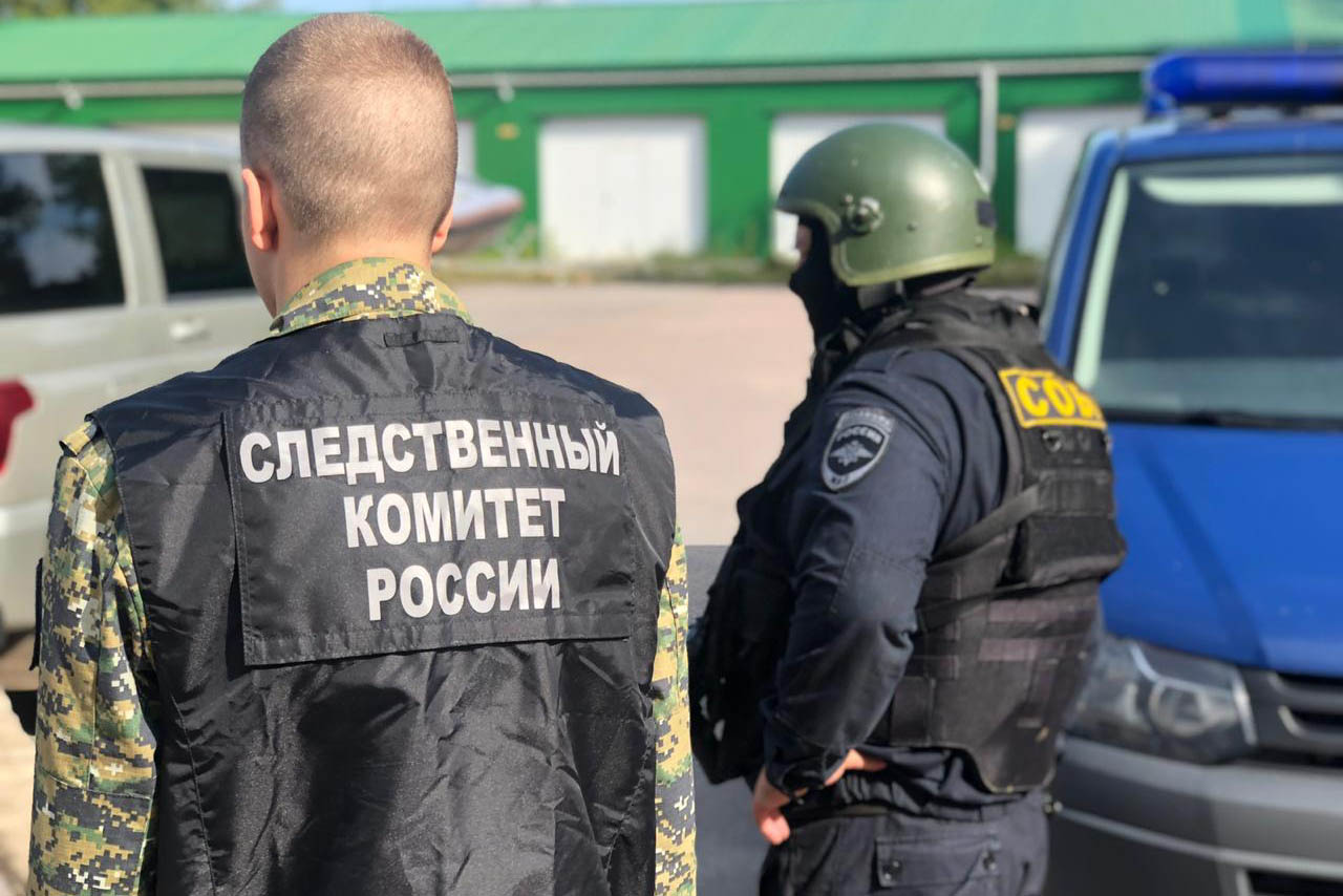 Проверку проведут в отношении следователя по делу об изнасиловании девочки в Петербурге