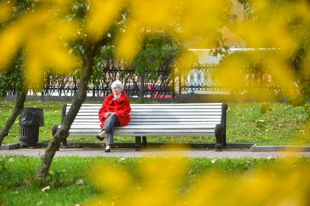 Сухая и теплая погода ожидается в столице на выходных
