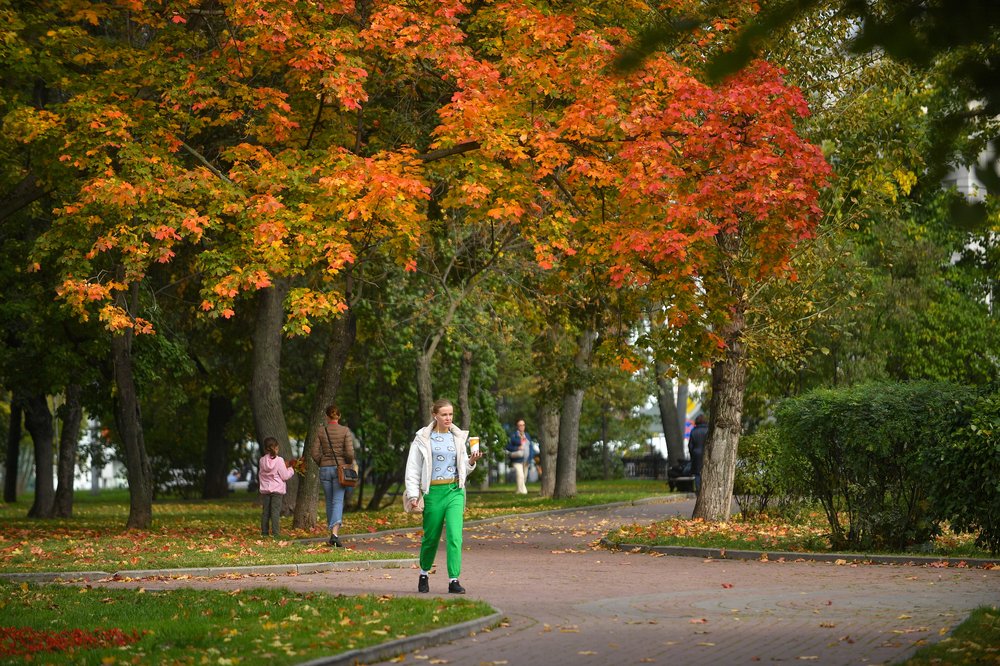 Синоптики рассказали о погоде в Москве 5 октября