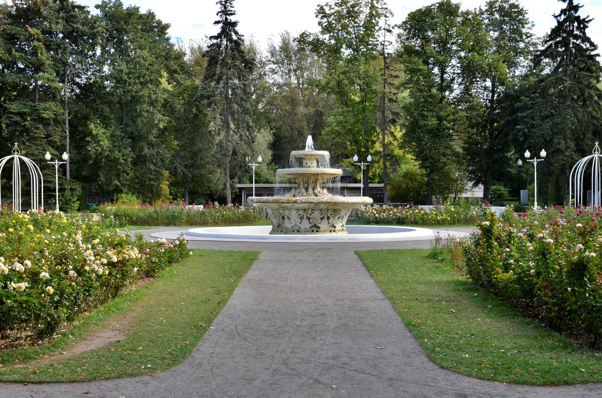 Столичные парки закрылись для посещения из-за непогоды