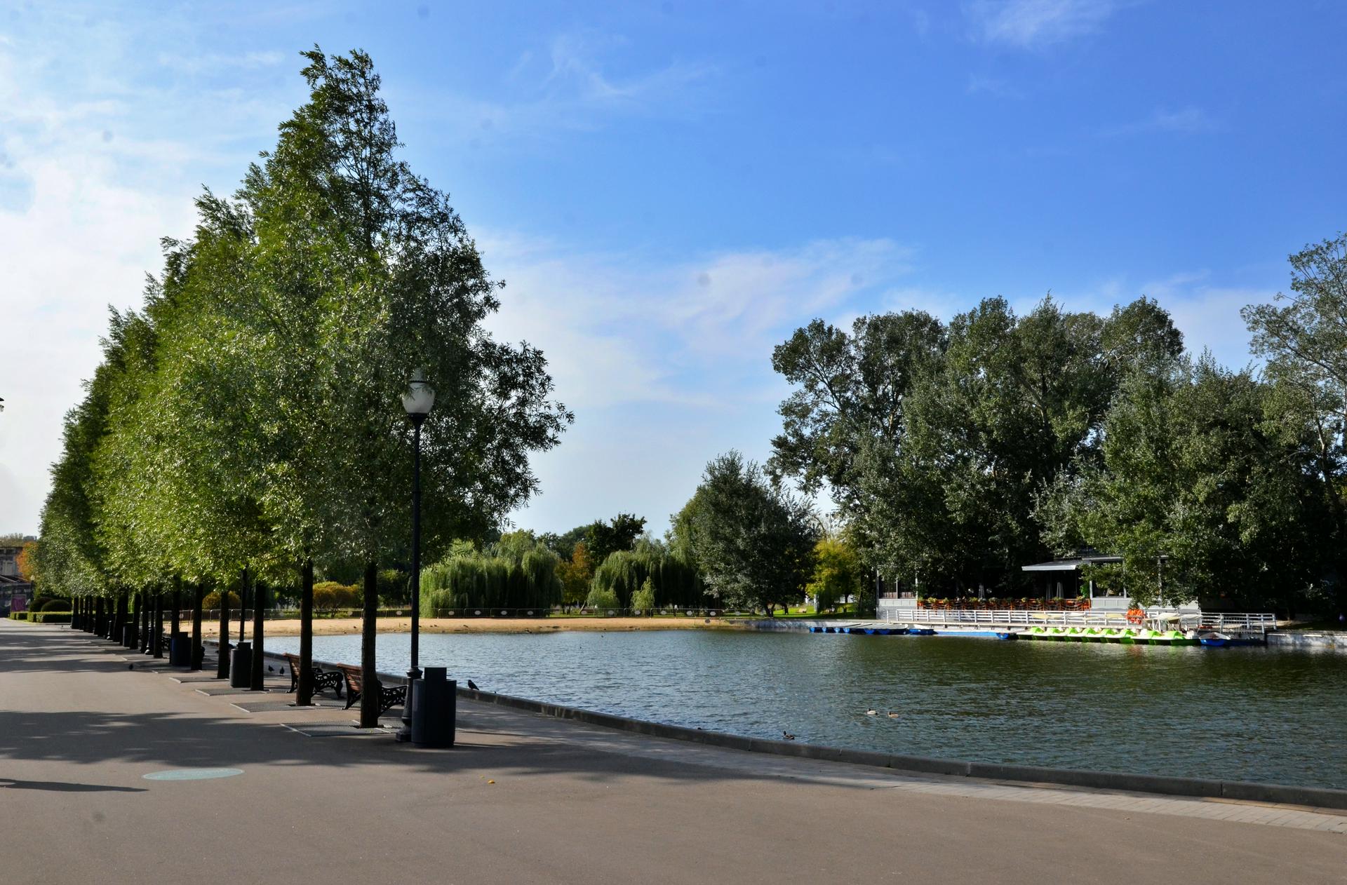 Реконструкцию 30 прудов проведут в Москве в 2021 году