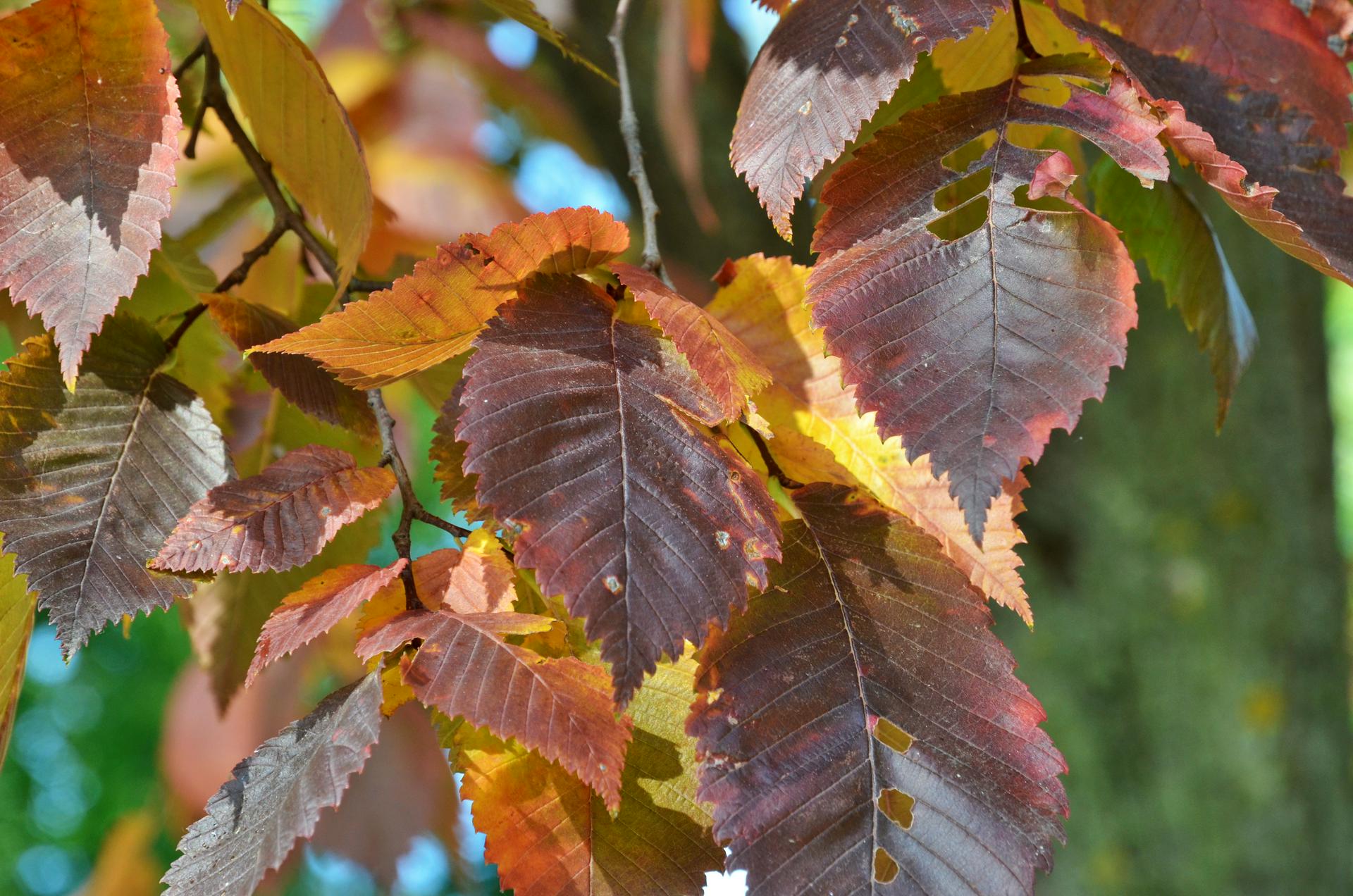 Центр Гиляровского пригласил на мастер-классы по экологии города