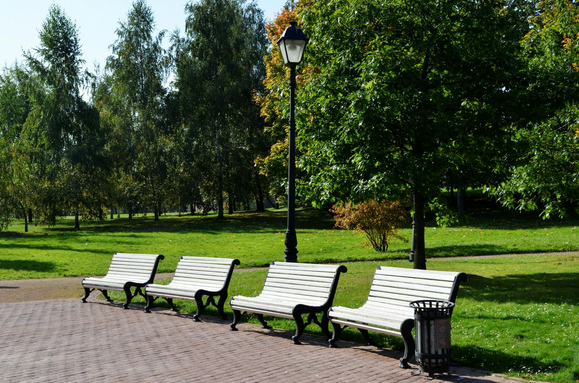 Рекреационная зона в виде Тропаревского заказника в миниатюре появится в ТиНАО