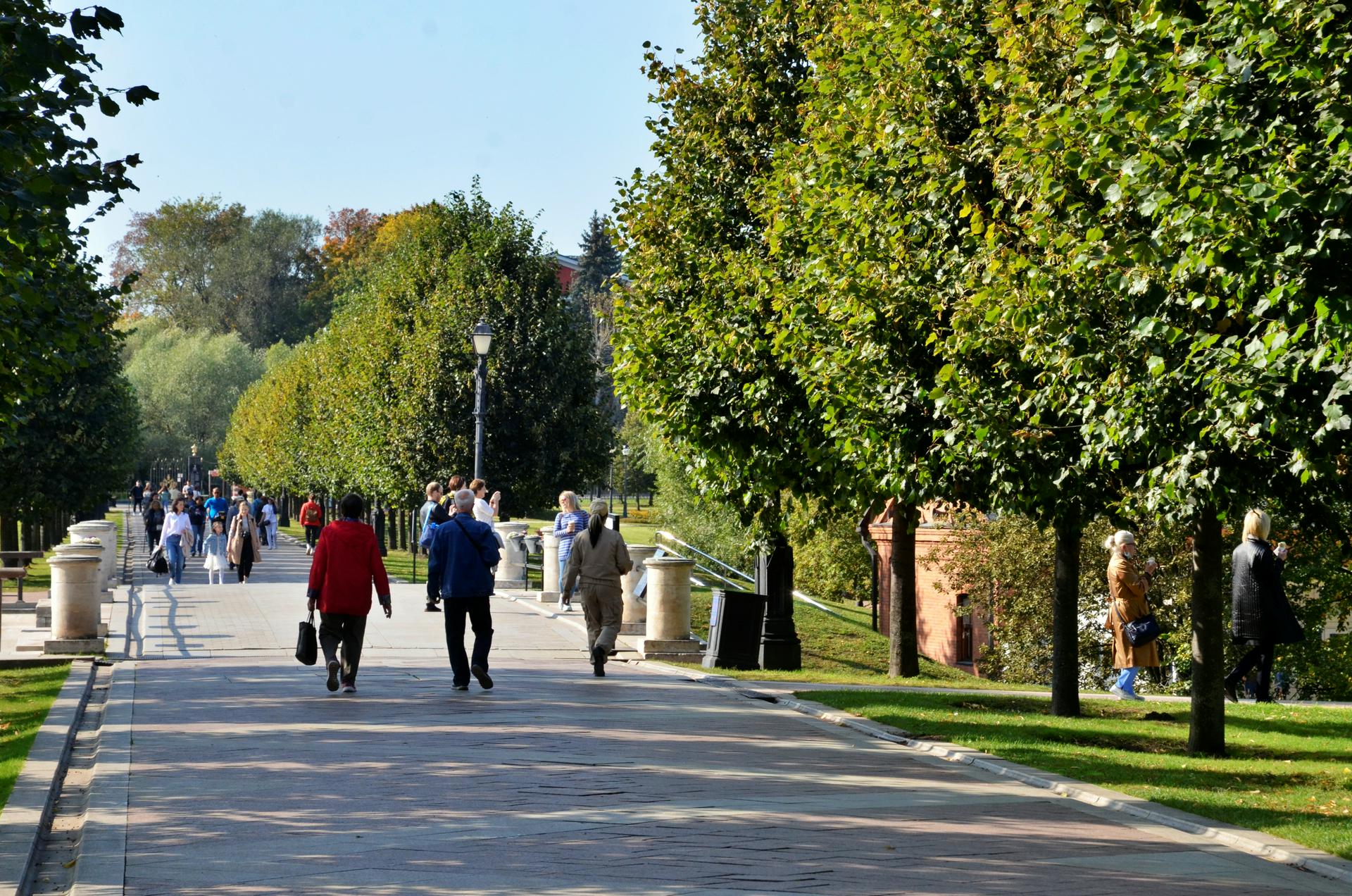 Синоптики рассказали о погоде в Москве 24 сентября