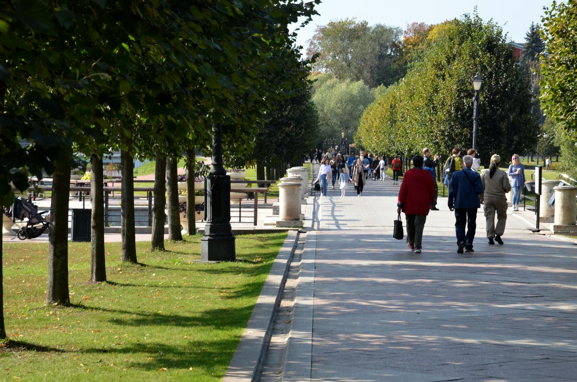 Люди подмосковья. Аллея. В парке. Люди в парке. Общество в парке.