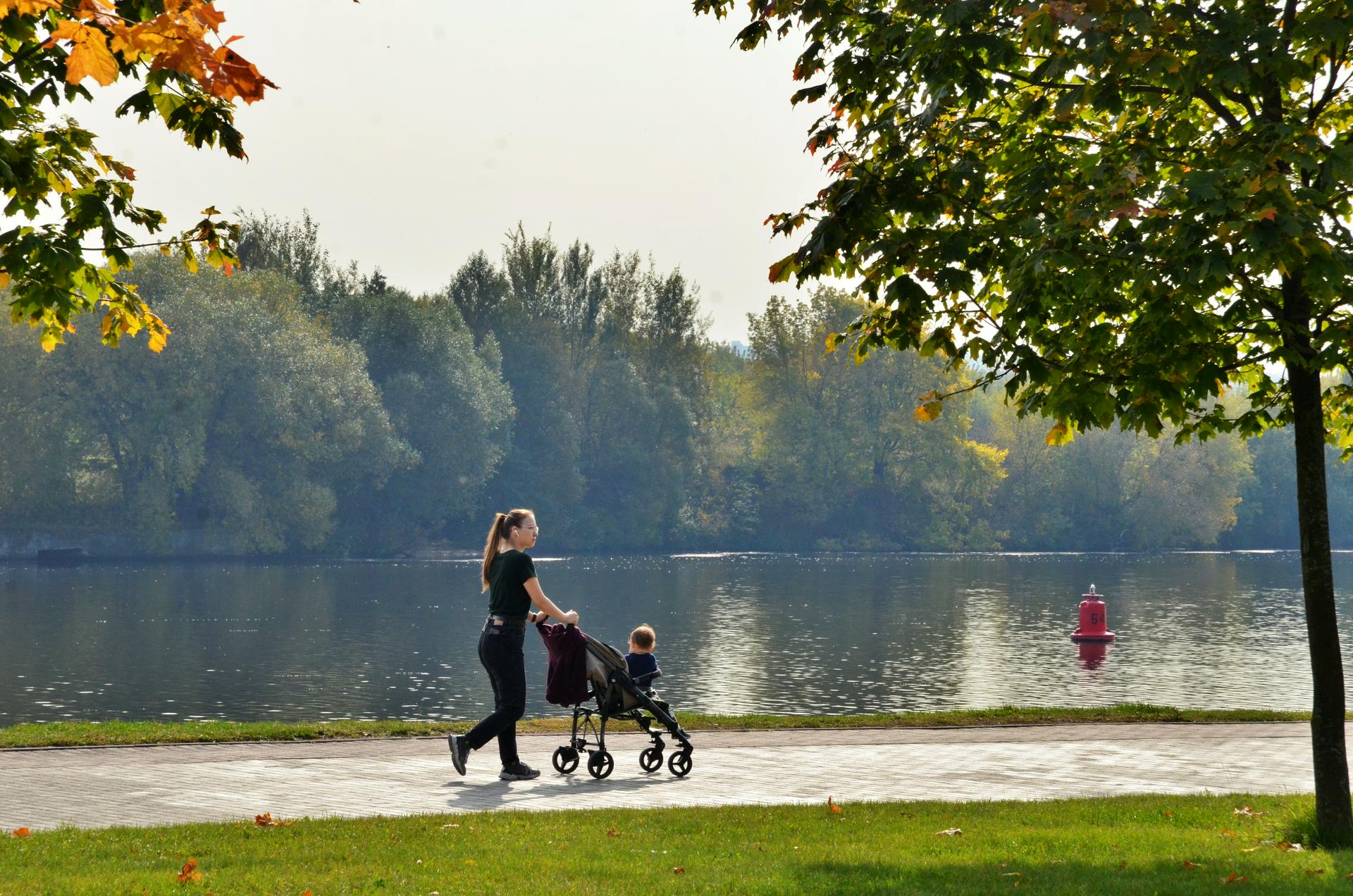 Пять столичных набережных отремонтируют до середины ноября