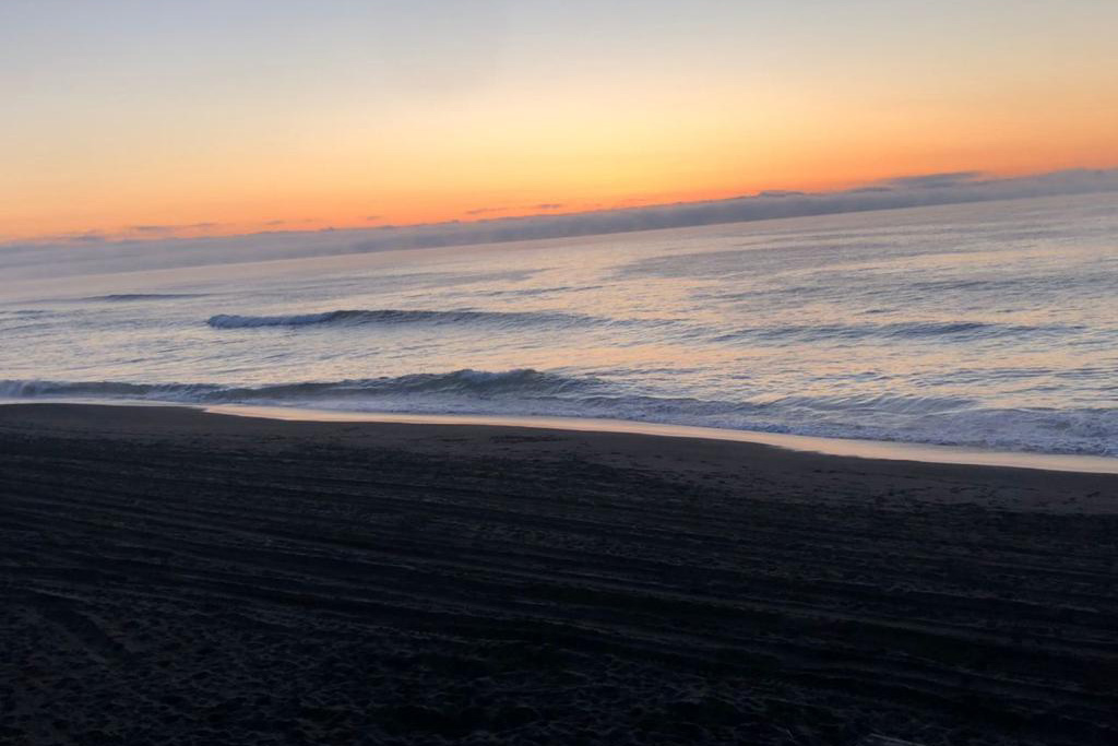 Материалы проверки загрязнения вод на Камчатке передали в центральный аппарат СК