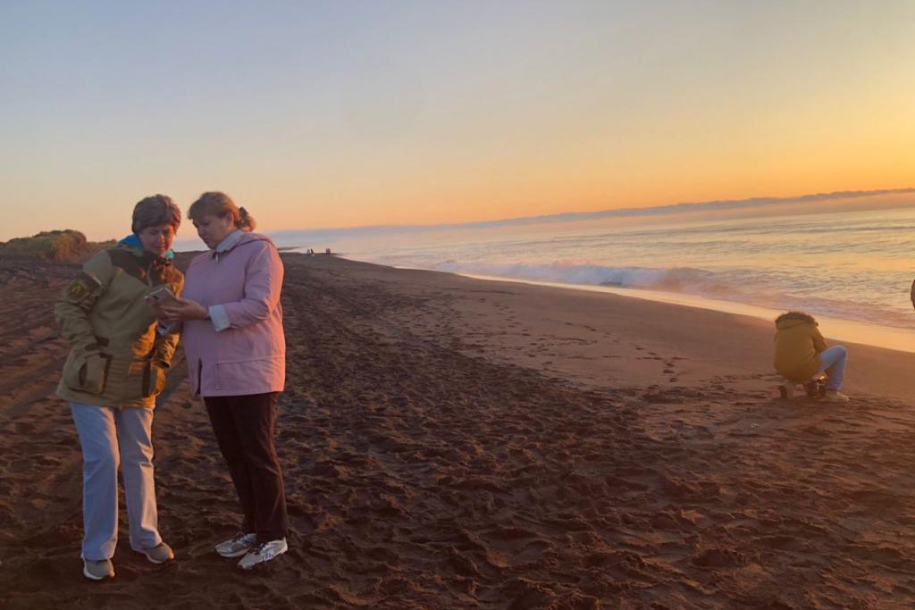 Образцы воды и погибших животных с побережья Камчатки отправили в Москву