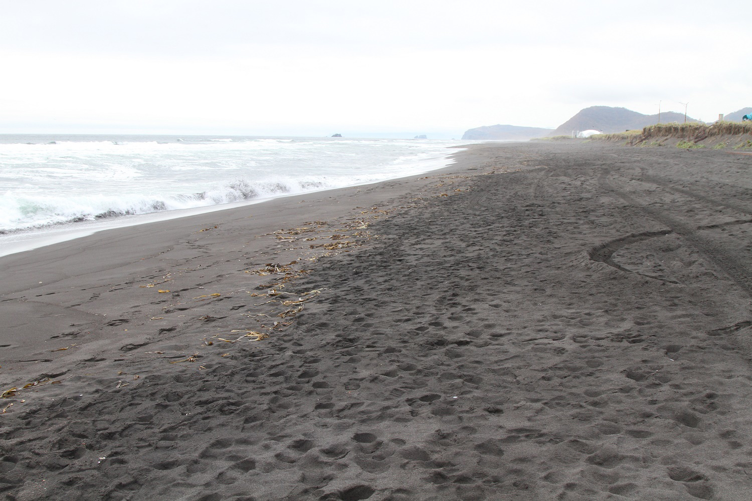 В Росрыболовстве объяснили, что способствовало росту токсичных водорослей на Камчатке
