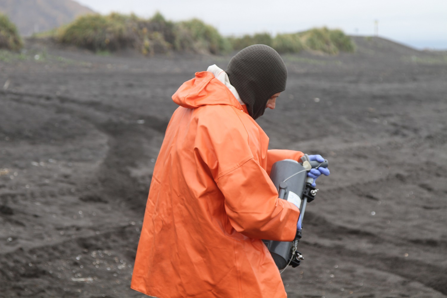 Ученые установили водоросли, которые могли вызвать загрязнение воды на Камчатке