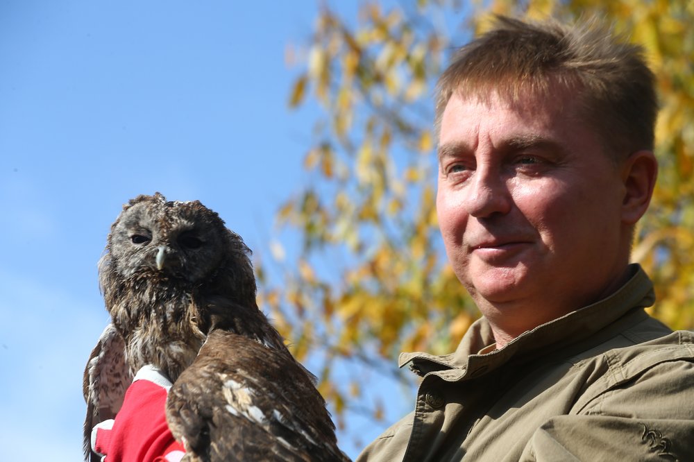 Глава Департамента природопользования и охраны окружающей среды Антон Кульбачевский выпускает сокола на волю