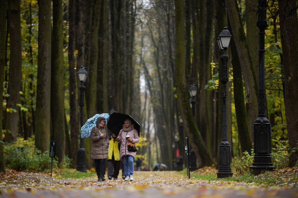 Назван неожиданный положительный эффект от пандемии COVID-19