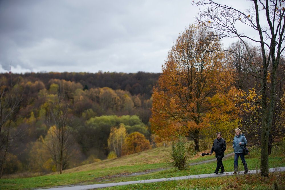«Желтый» уровень опасности объявили в Москве и Подмосковье 23 октября