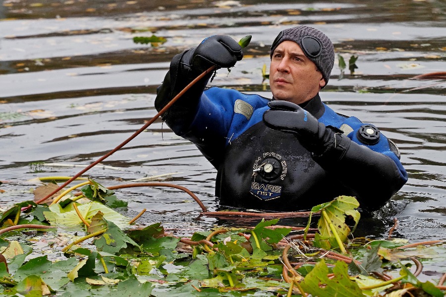 Руководитель водолазных спусков ГУП «Мосводосток» Максим Дробошевский лично участвовал в пересадке редких нимфей сорта «Аттракцион»