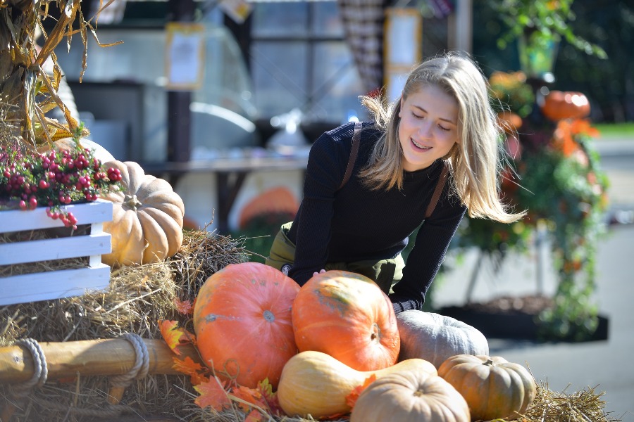 Эксперты рассказали о полезных свойствах тыквы