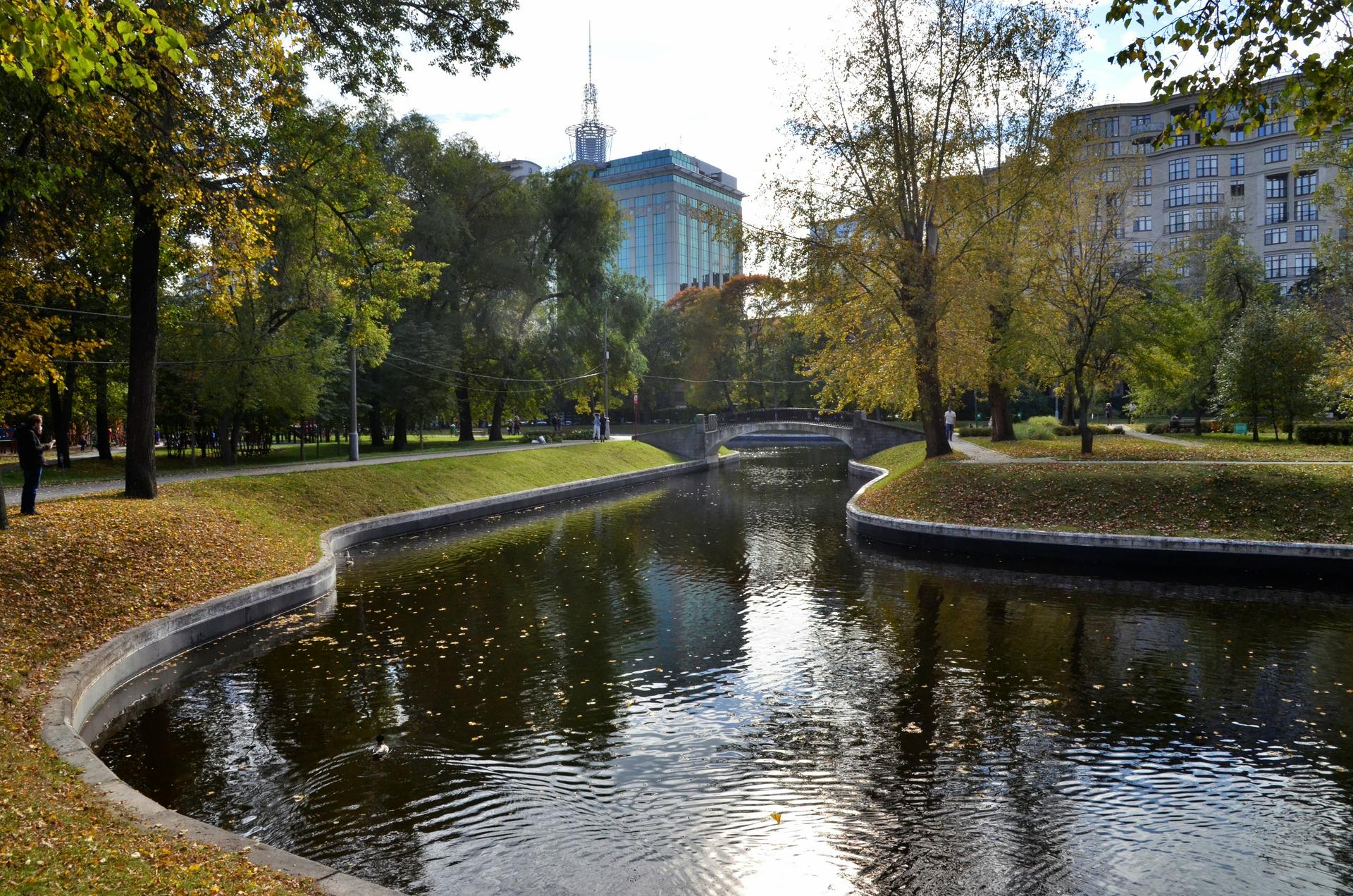 Полезных насекомых стали чаще встречать на деревьях Москвы из-за мер против COVID