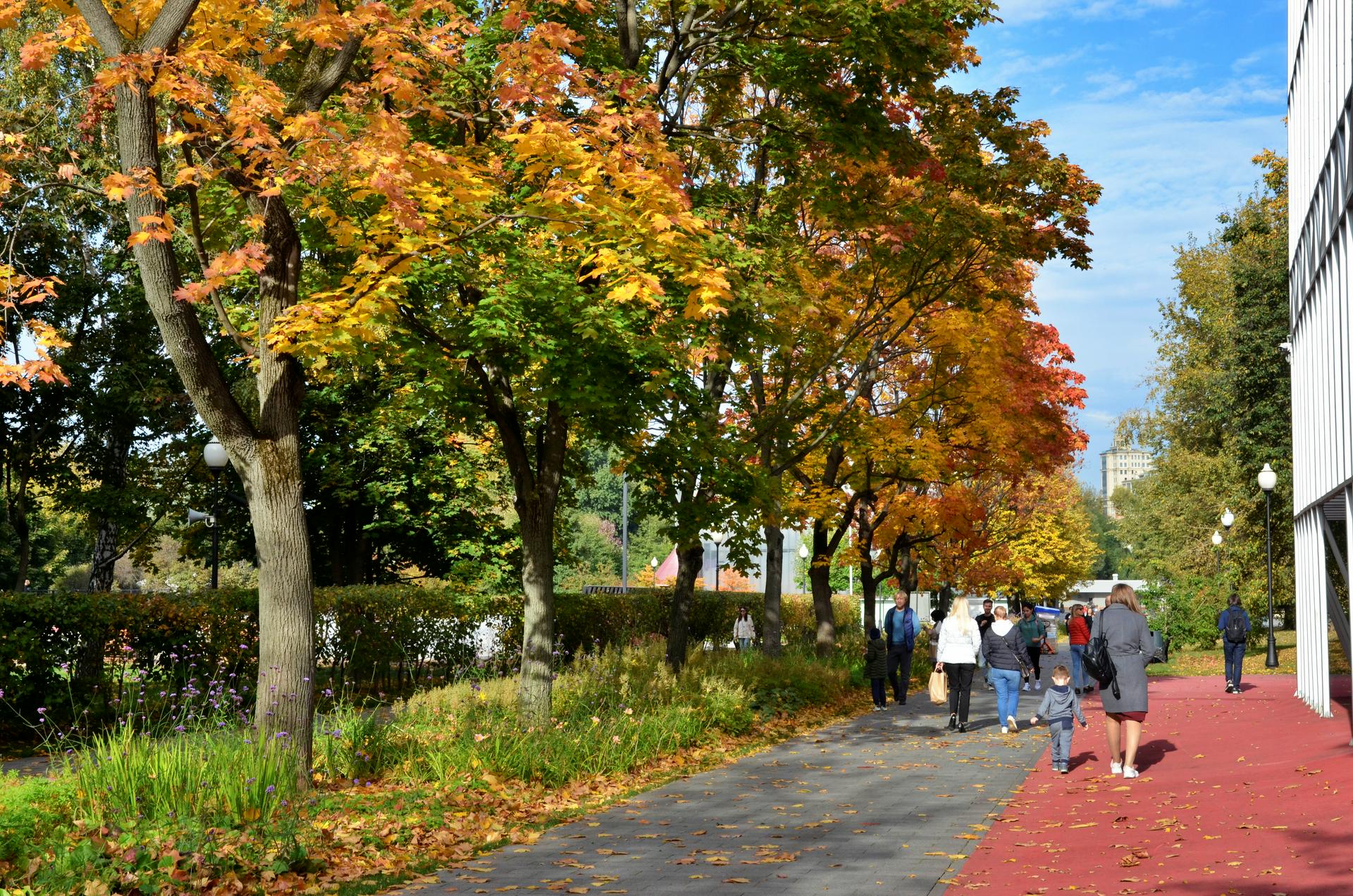 Синоптики сообщили о погоде в Москве 4 октября