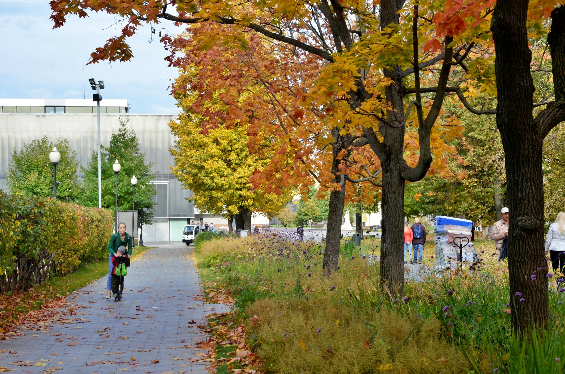 Резкое похолодание пообещали москвичам через неделю