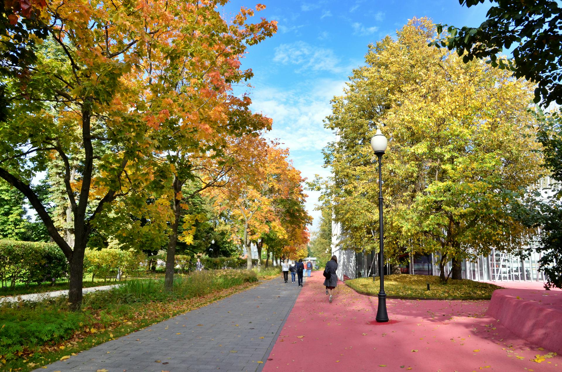 Сентябрь текущего года стал самым теплым за всю историю