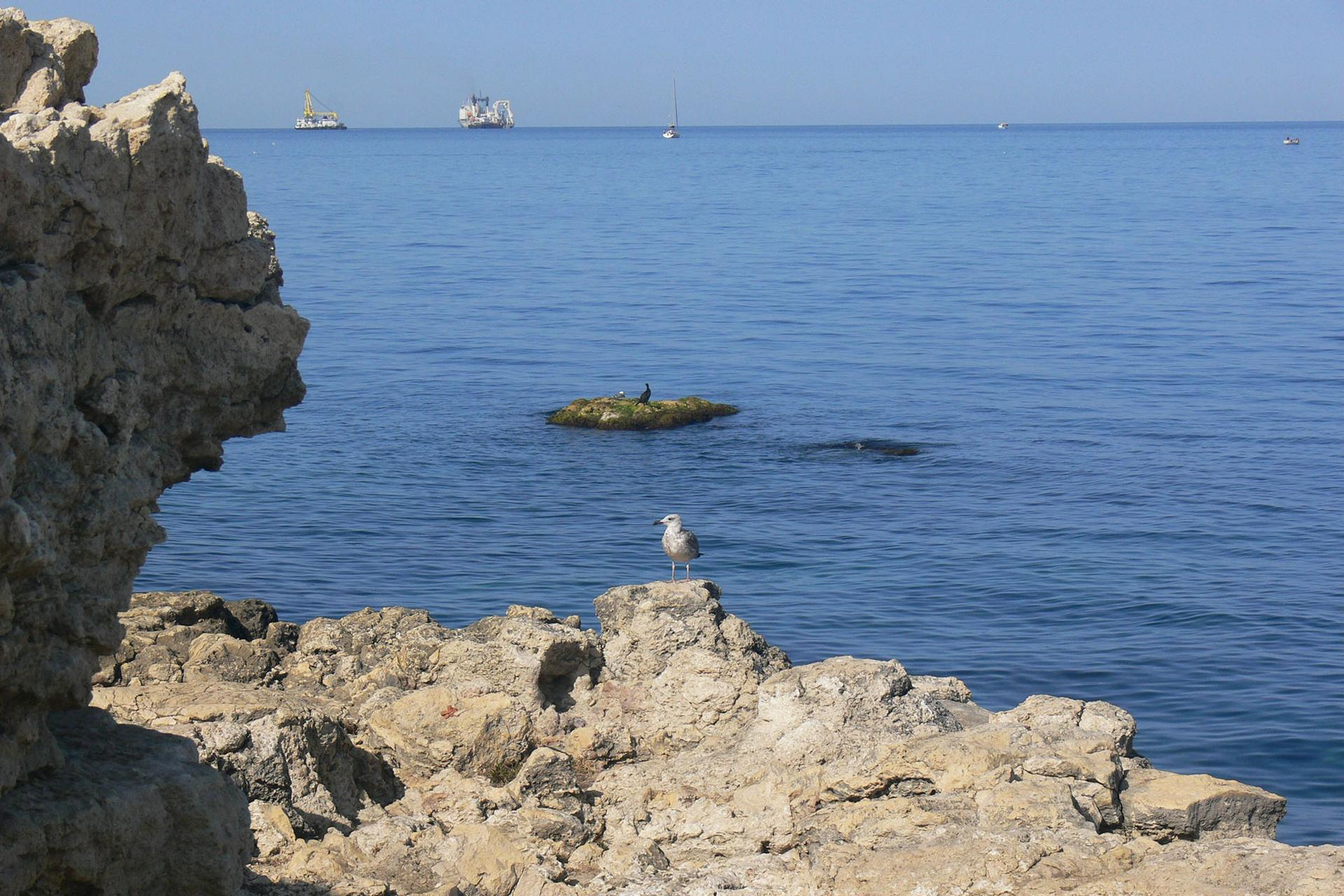 В Госдуме ответили на заявление США о «милитаризации» Крыма