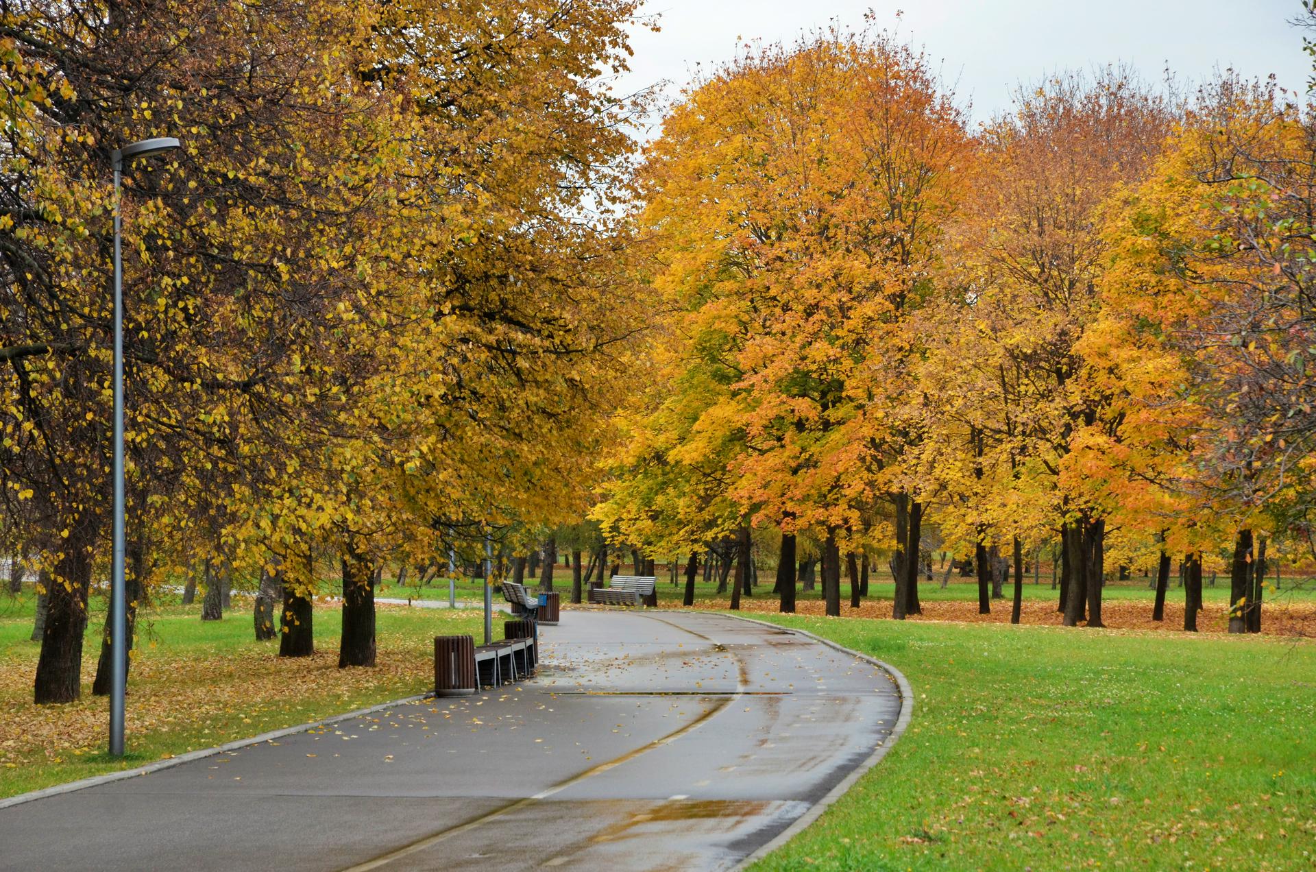 Синоптик сообщил, когда закончится бабье лето в европейской части России
