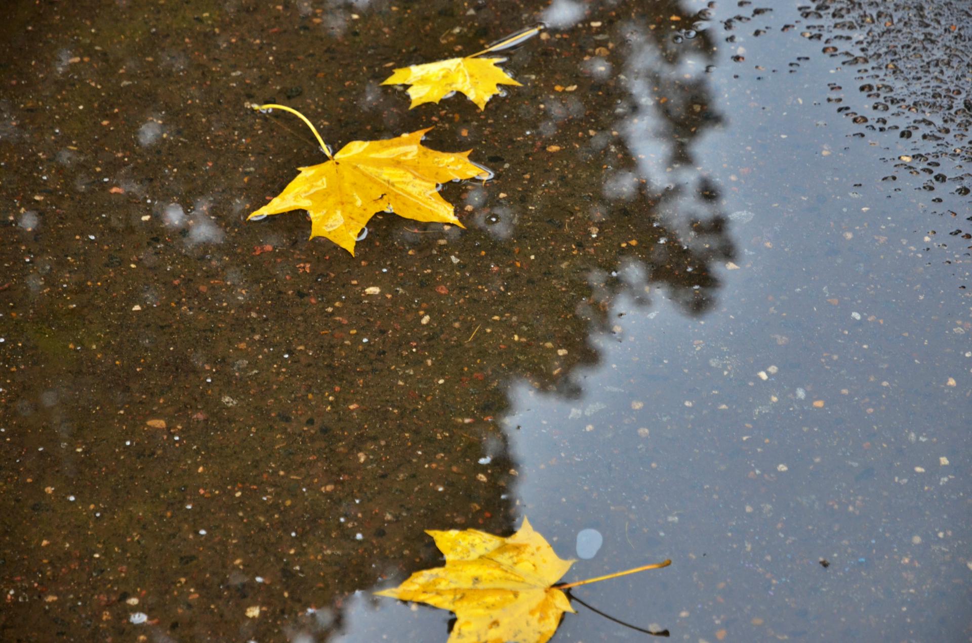 «Барическое дно»: москвичей предупредили о резком падении атмосферного давления