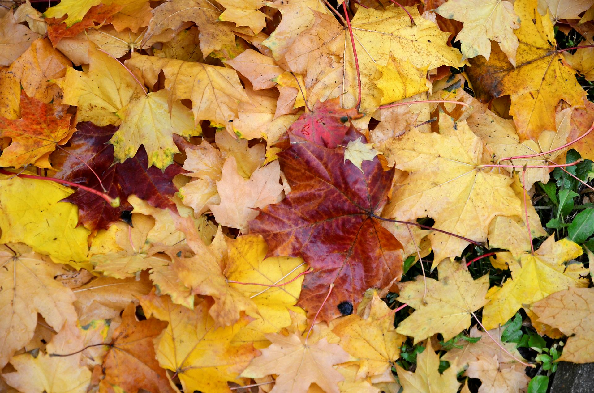 Выставка «Природа или прогресс» откроется на «Винзаводе»