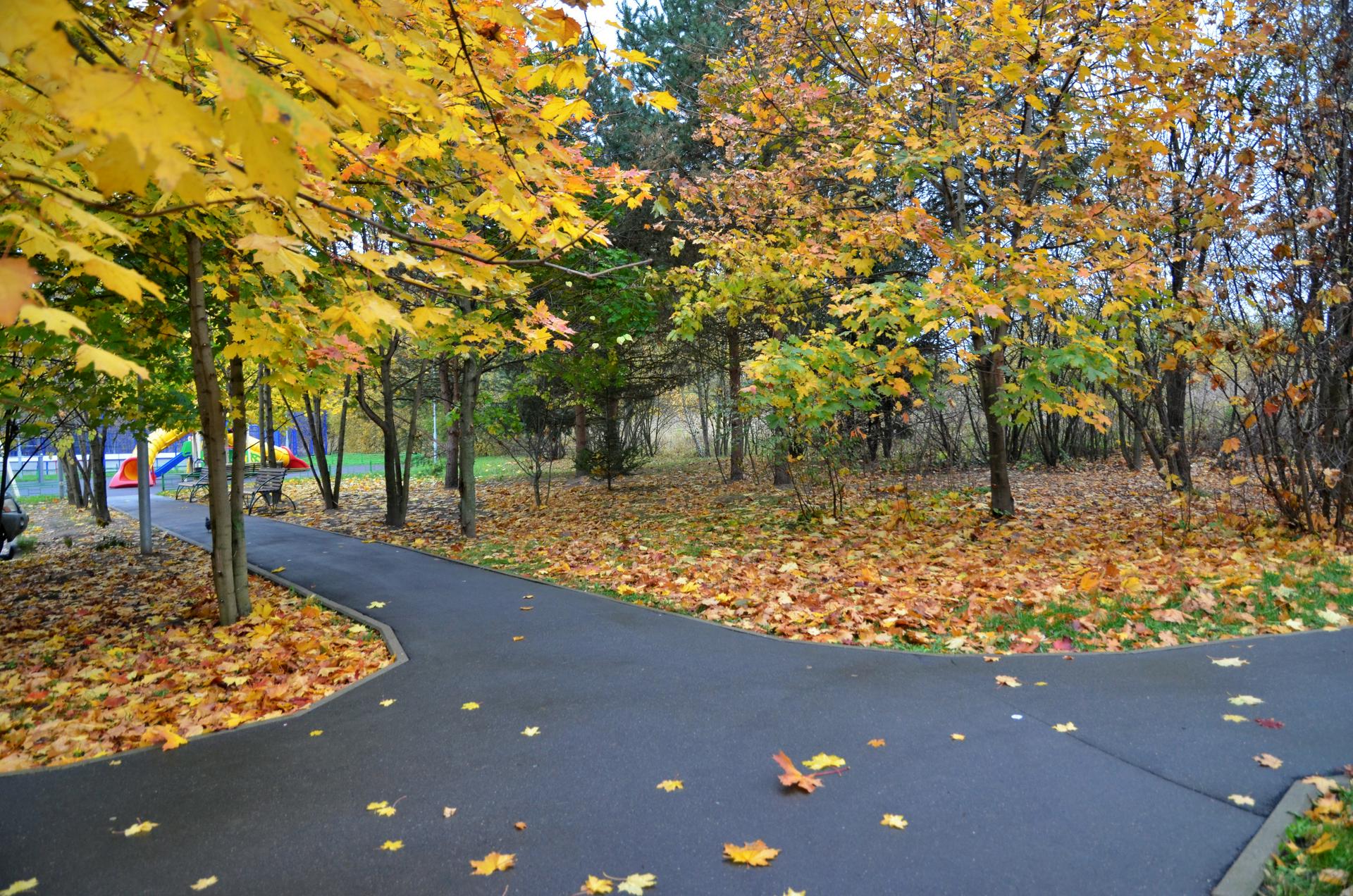 Синоптик сообщил, когда в европейской части России начнется предзимье