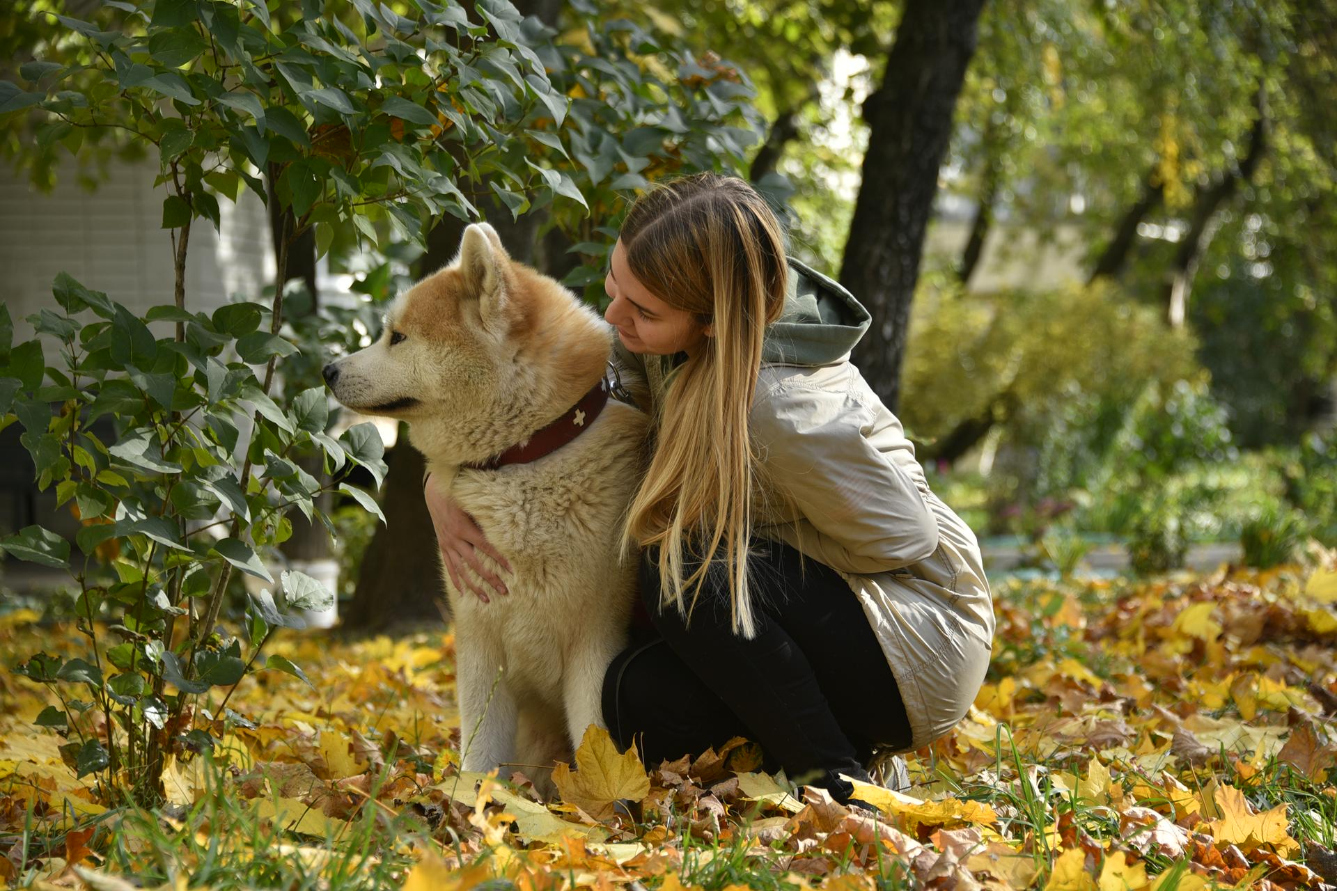 Порочная родня. К каким бедам привела селекция животных