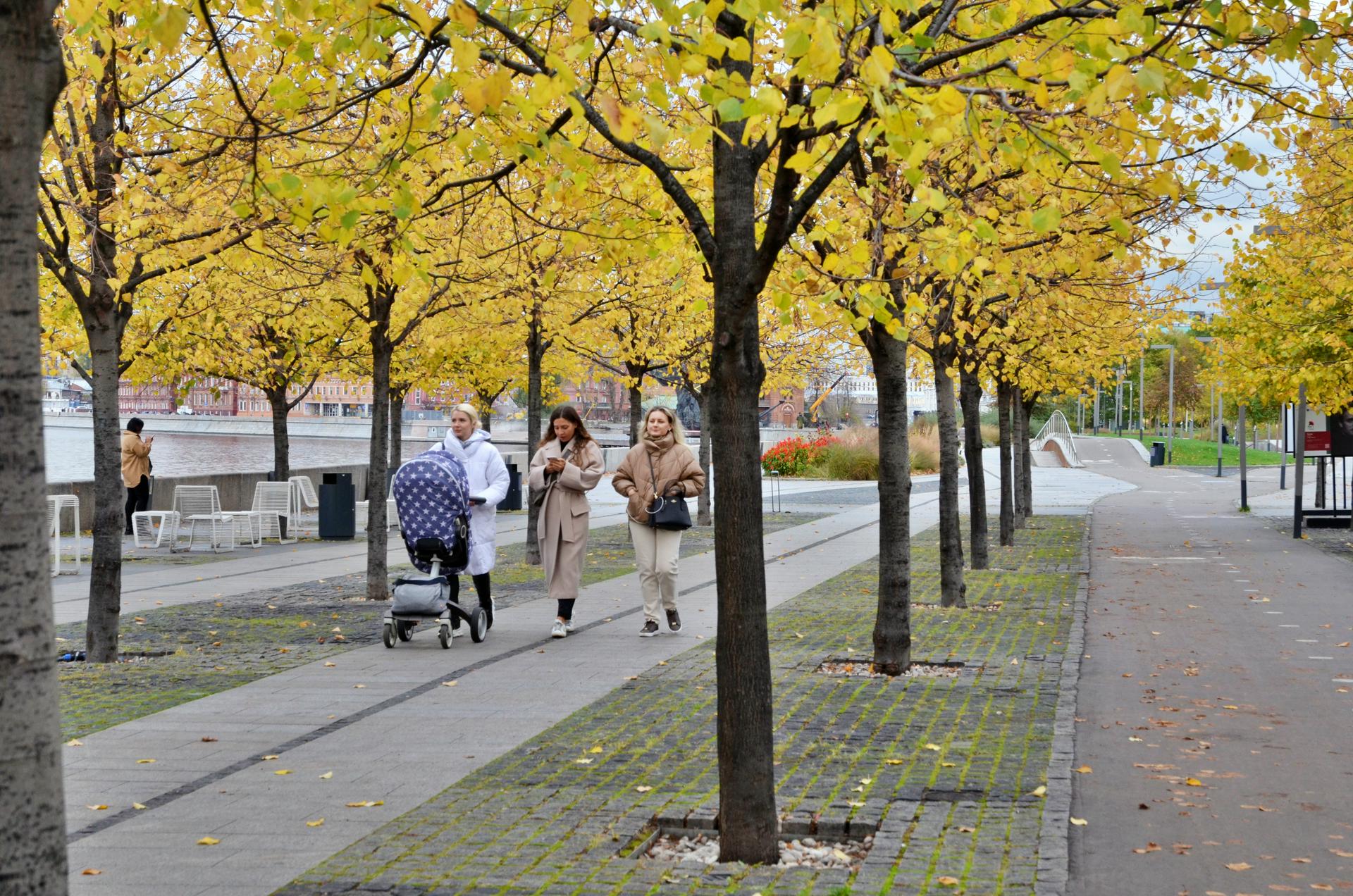 Синоптики рассказали о погоде в Москве 18 ноября